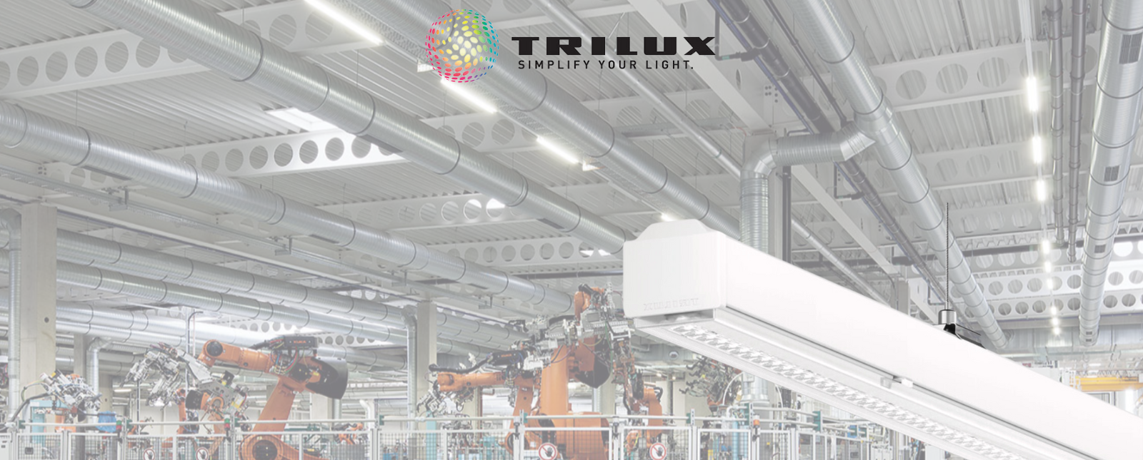 Nuevo Producto: E Line Next